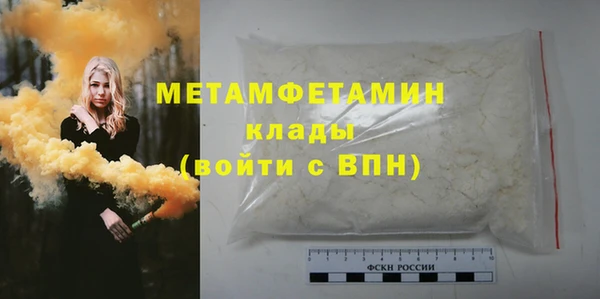 индика Верхний Тагил