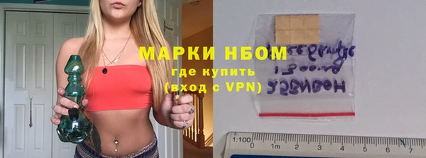 индика Верхний Тагил