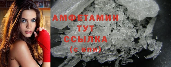 индика Верхний Тагил